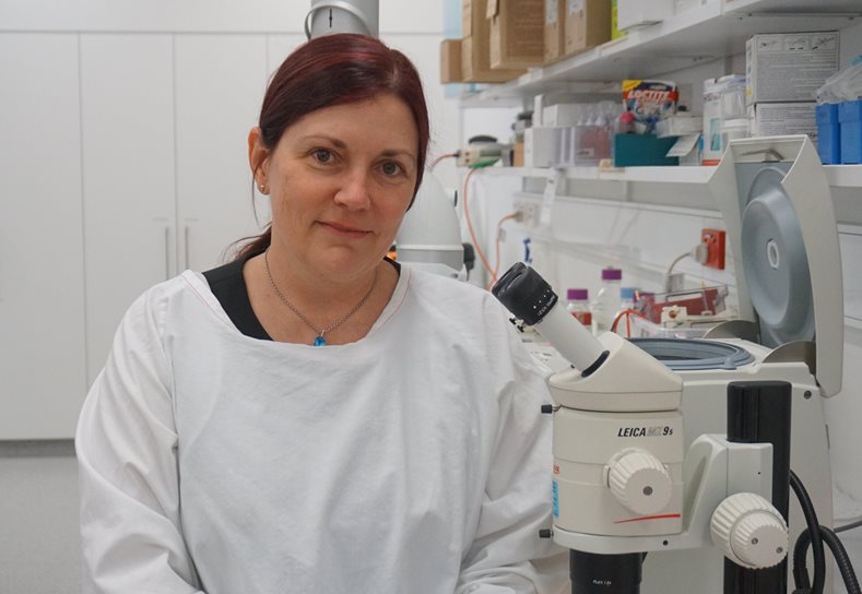 Westmead study shows vitamin C prevents ulcer-related amputations