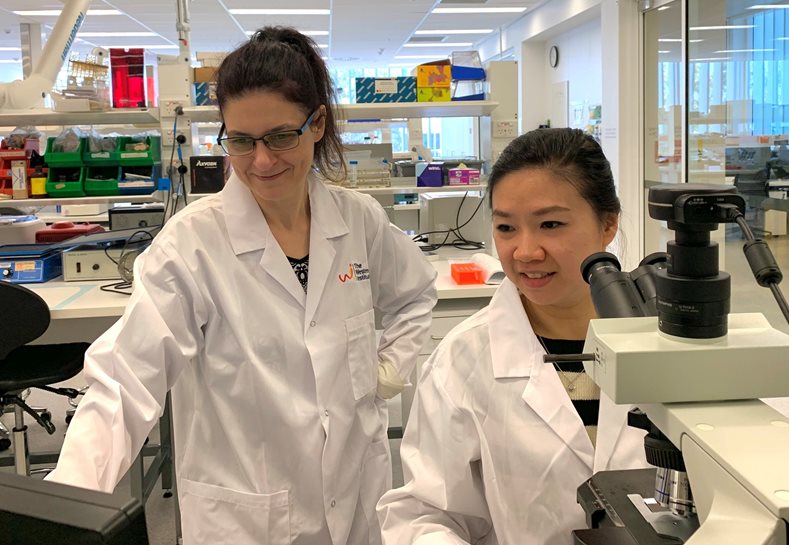 Researchers identify a key molecular interaction that causes the spread of a killer fungus