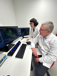 New funding announced for end-to-end precision medicine research pipeline in Westmead