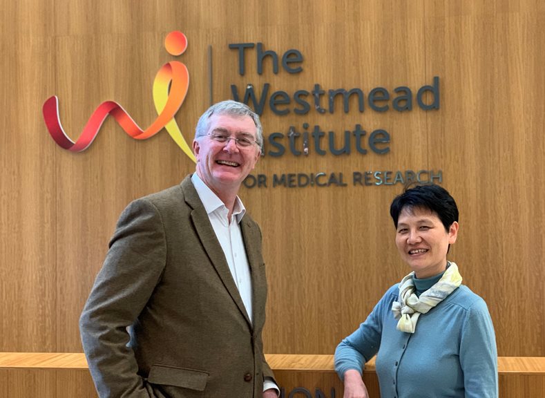 New WIMR-led study could improve islet transplant outcomes for people with type 1 diabetes