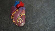 New stem cell research solves deadly complication
