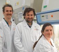 WORLD FIRST: Researchers identify two new cell types involved in detecting and initiating an immune response to HIV