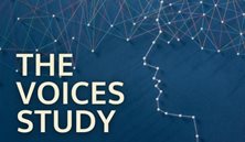 The Voices Study
