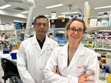 World first study sheds light on interaction between chronic kidney disease and osteoarthritis