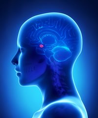 New research takes guesswork out of depression