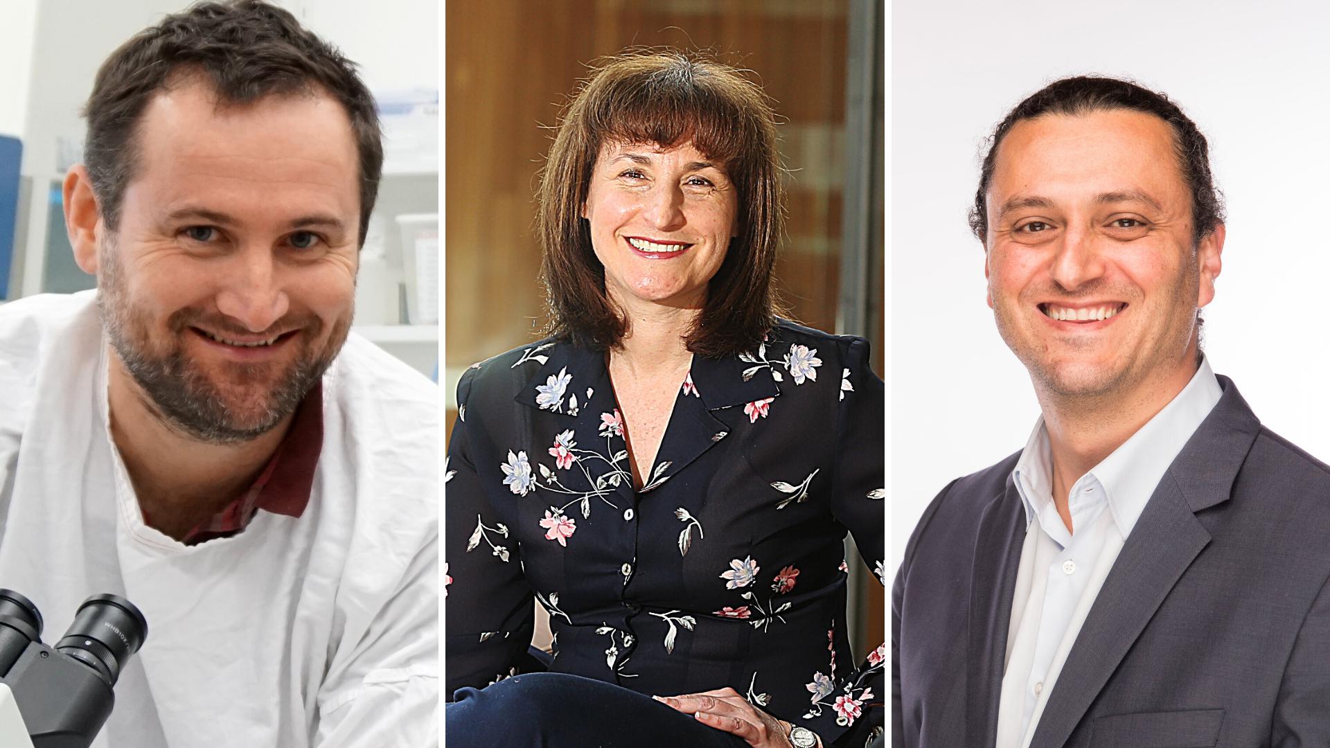 WIMR researchers receive NHMRC grant funding