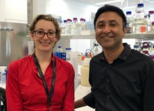 World first: New finding could help improve glucose control for diabetics