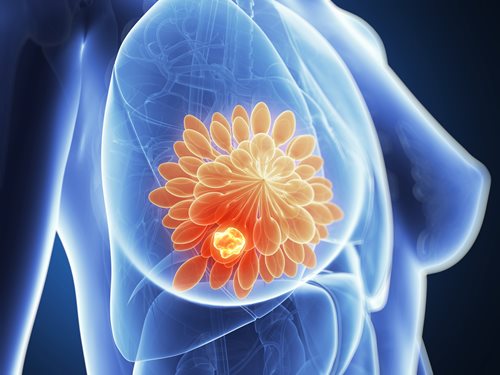 Westmead Institute cancer researcher named one of the ‘brightest’ emerging scientists in the field