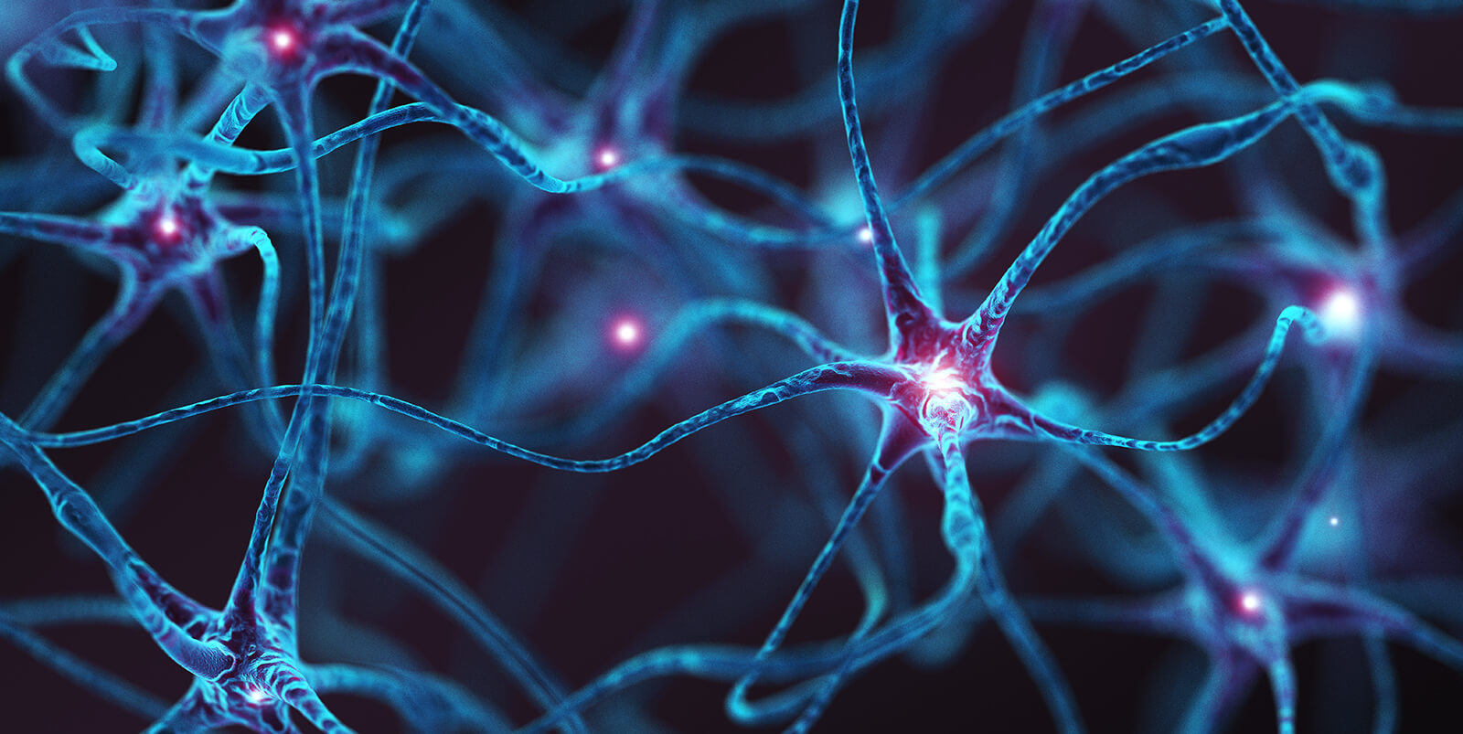 Brain Dynamics Centre