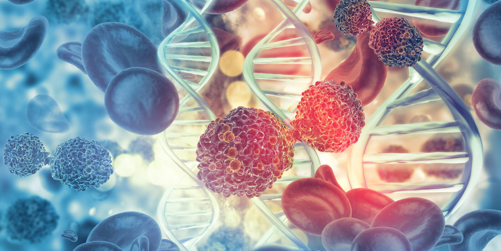 Blood Transplant & Cell Therapies Group