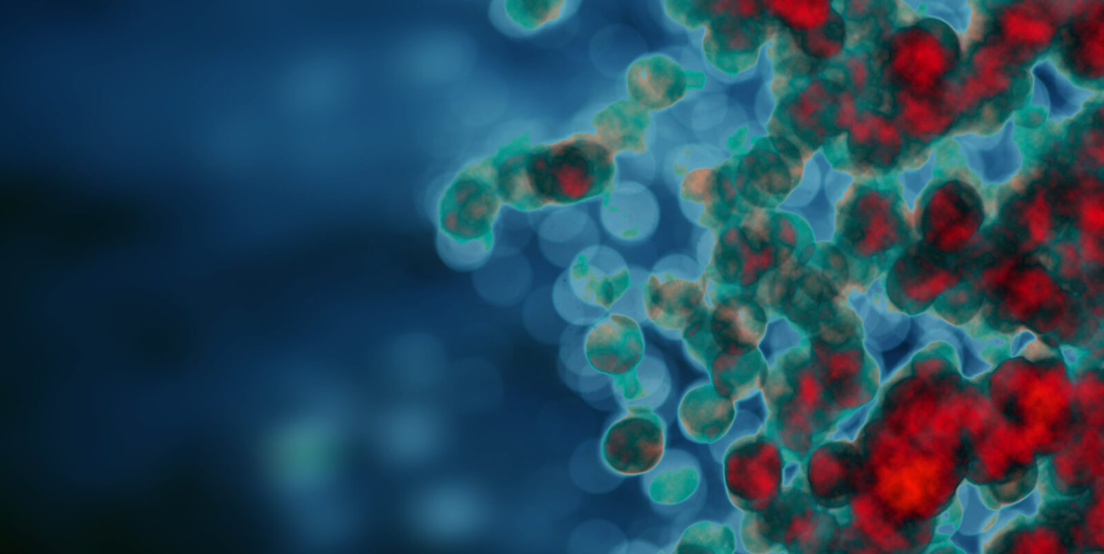 EBV Molecular Laboratory