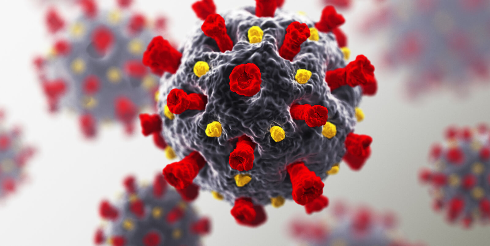 HIV Immunotherapeutic Group
