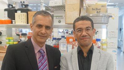 New tool to detect fatty liver disease before liver damage