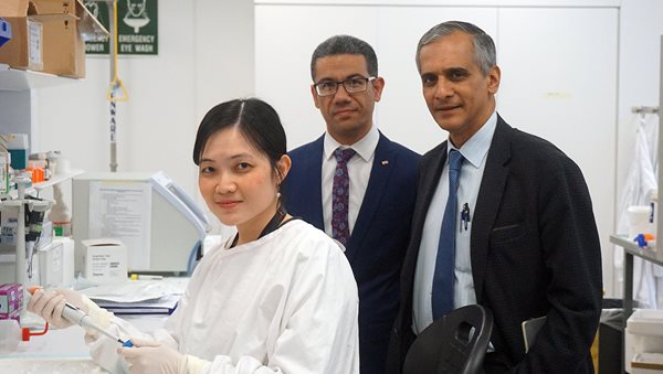 Scientists closer to solving mystery of why lean people get fatty liver disease