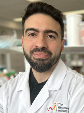 HIV immunotherapy research at WIMR awarded prestigious Campbell Foundation grant 