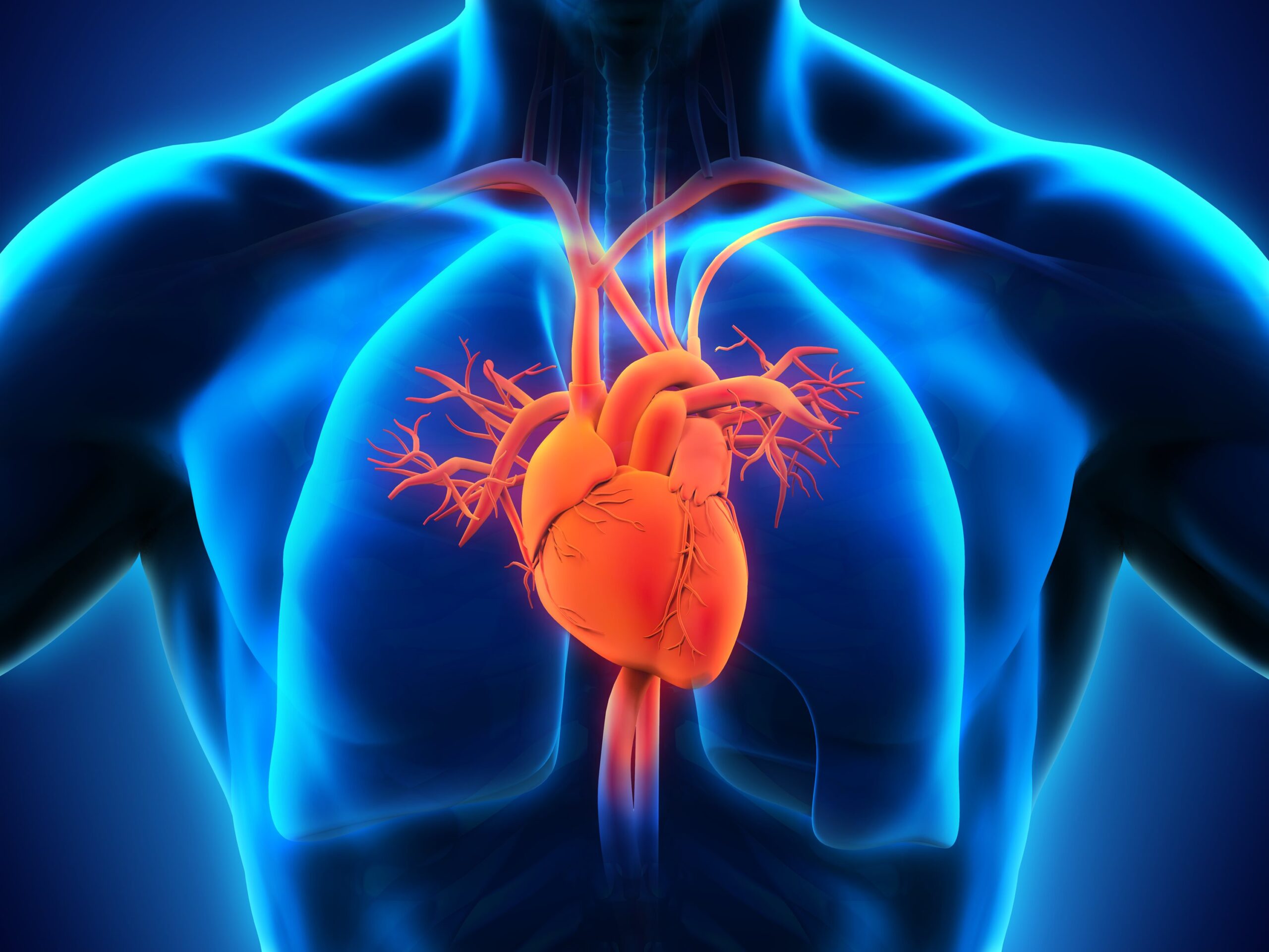 New research: vitamin D may help prevent heart failure after heart attack