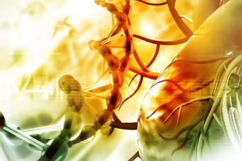 Stem cell therapy and heart disease: a promising relationship