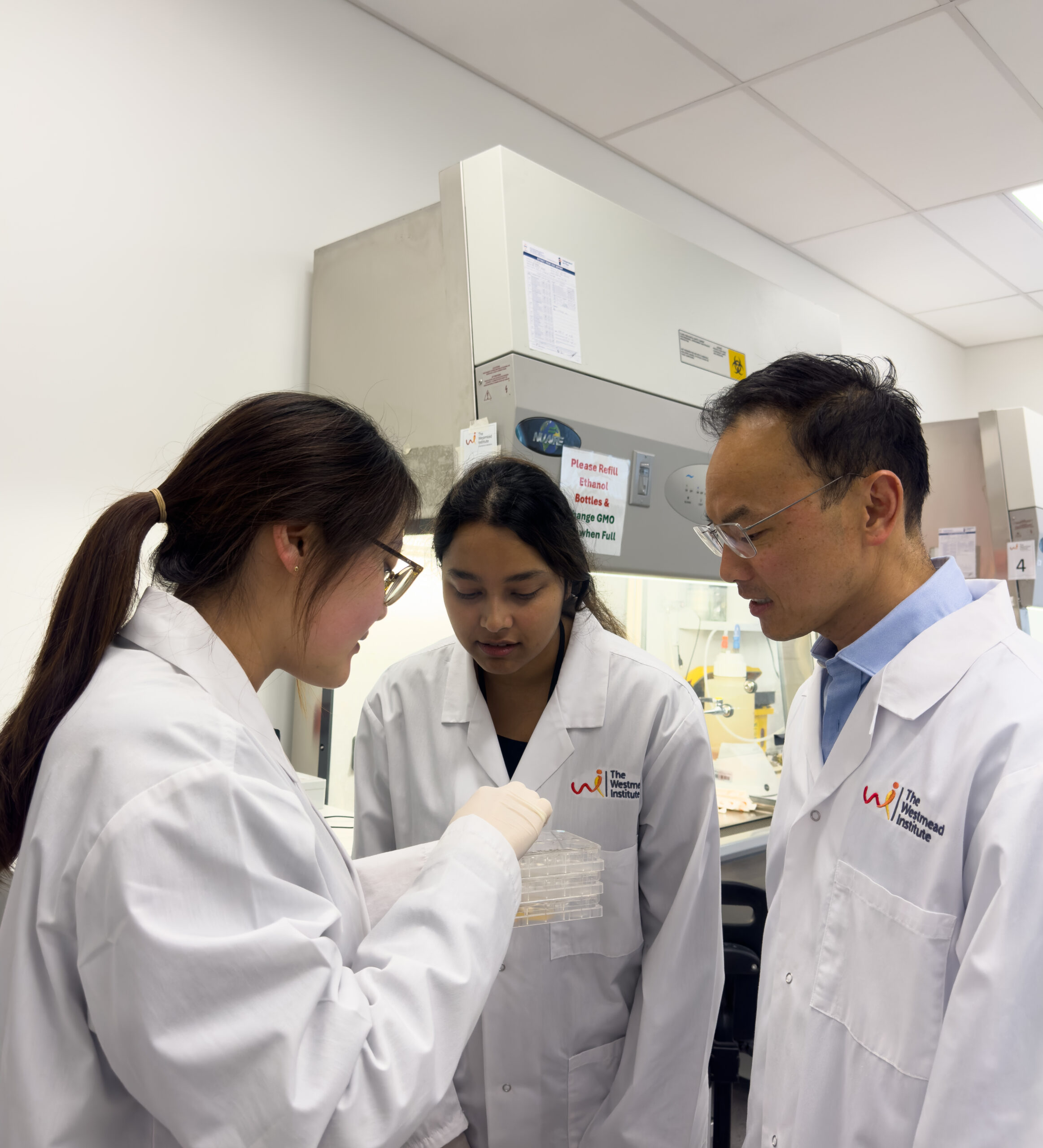 WIMR research to eliminate the need for heart transplants among pioneering projects receiving NSW Government funding
