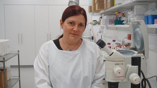 New study: protecting against type 1 diabetes