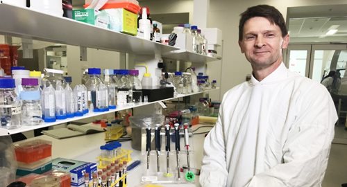 New study from The Westmead Institute for Medical Research indicates phage therapy safety and efficacy