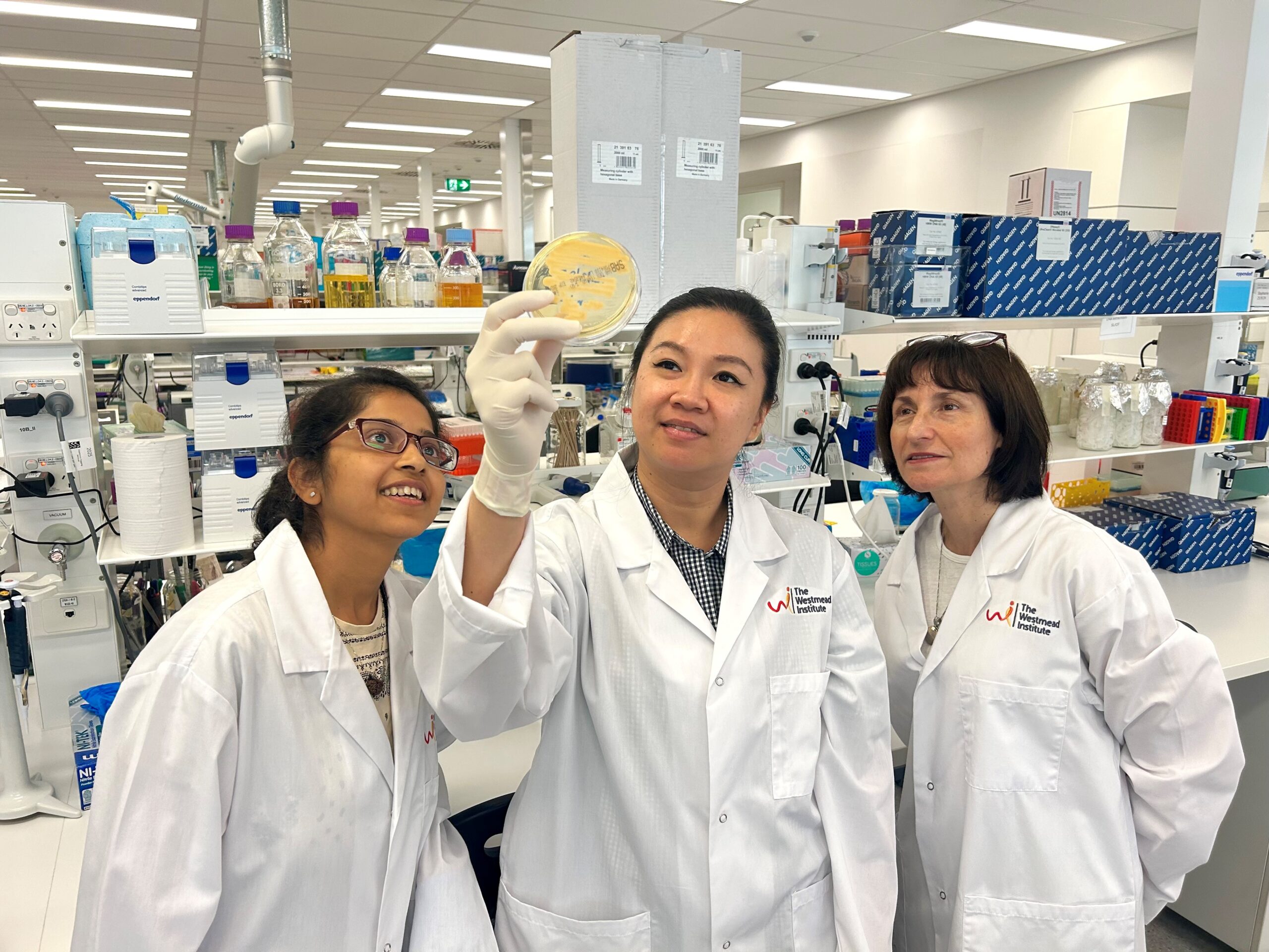 Surprising link between cancer and fungal infections could be the key to new, more effective treatments