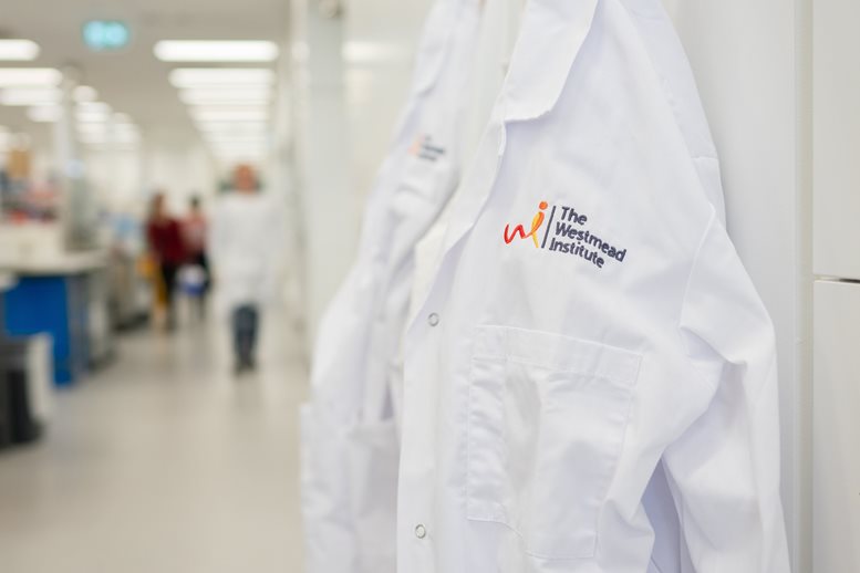 $4.9 million in NHMRC Ideas Grant funding to WIMR researchers