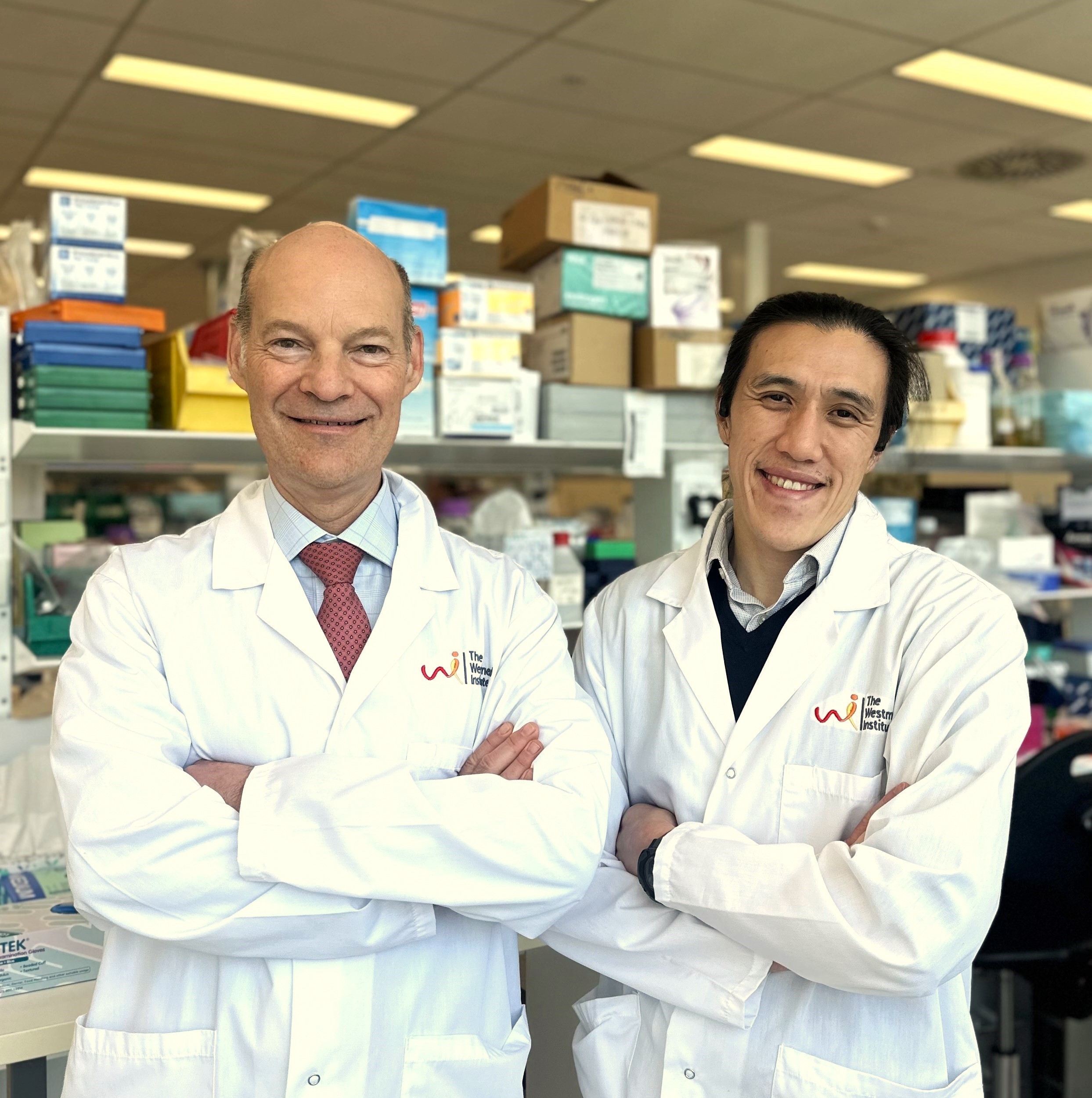 TM6SF2 gene could be key to a cure for Hepatitis B, C and D