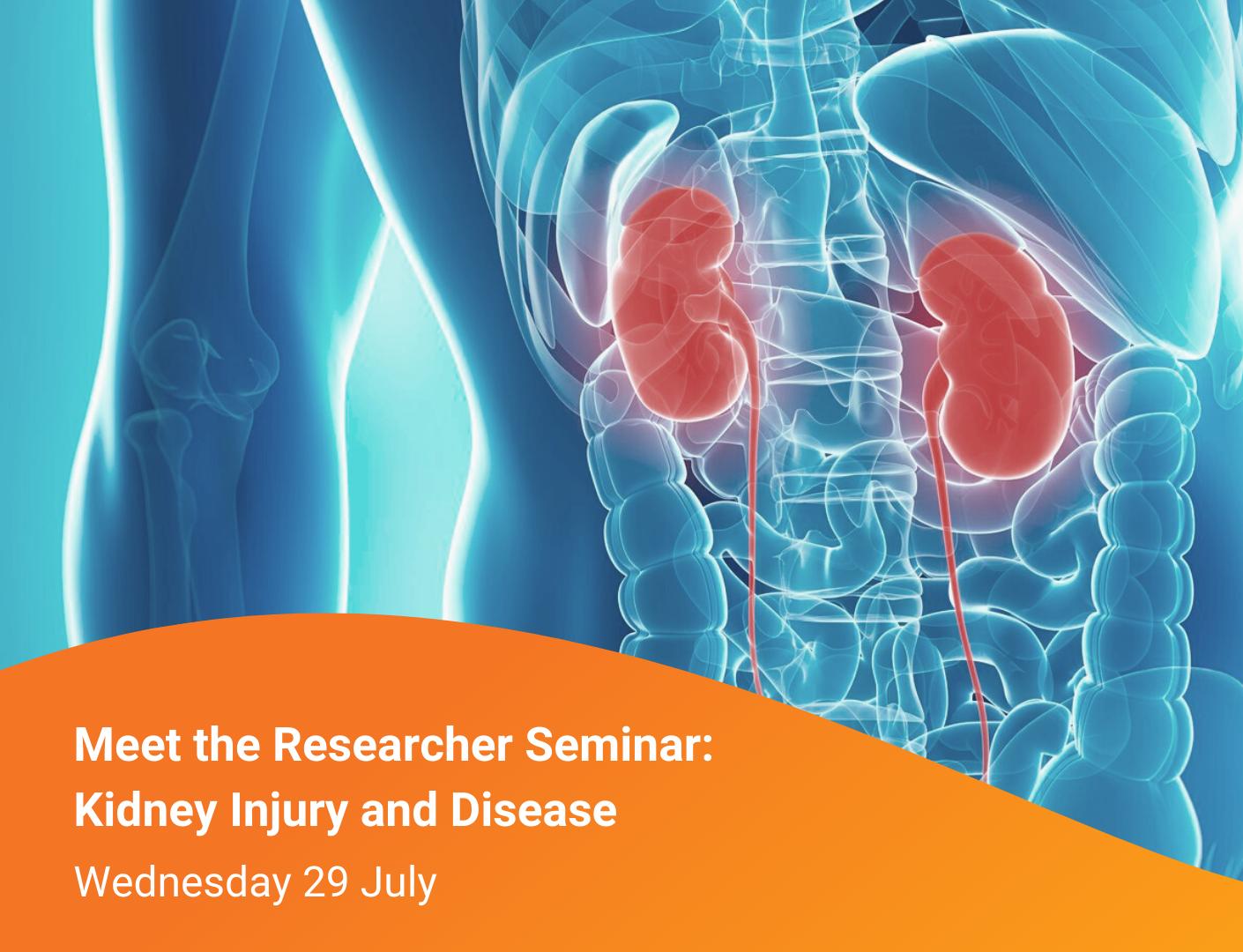 Meet the Researcher Seminar Series: Kidney Injury and Disease