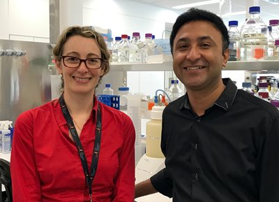 New target identified in bid to improve outcomes for acute kidney injury