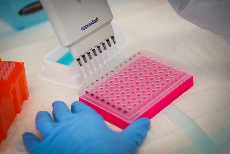 WIMR researchers receive NHMRC grant funding