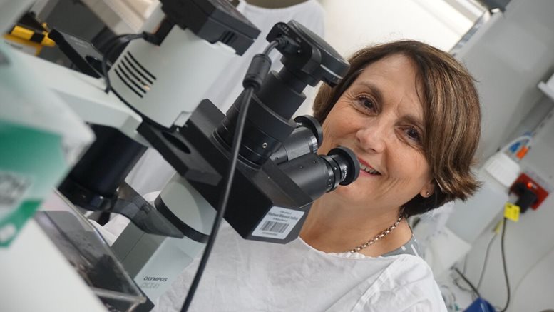 Professor Anna DeFazio honoured with Order of Australia