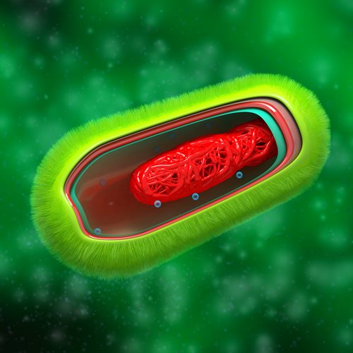 Australian researchers ‘reset’ superbugs to pre-antibiotic resistant state