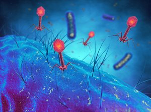 Researchers exploit natural microbial predators to beat antibiotic resistance