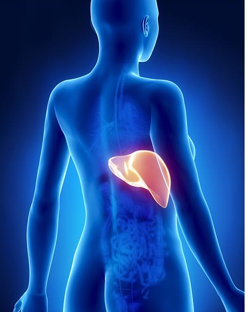 Researchers find new genetic variant which puts Hepatitis C patients at higher risk of liver damage