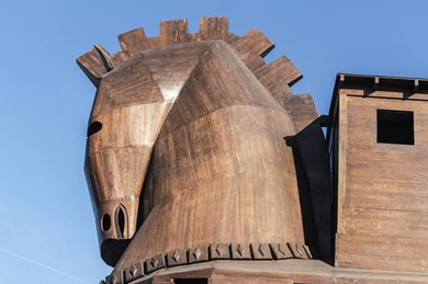 Trojan Horse: how a killer fungus unleashes meningitis and brain infection