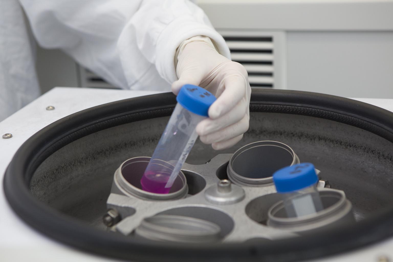 Six WIMR researchers awarded NHMRC Investigator Grants