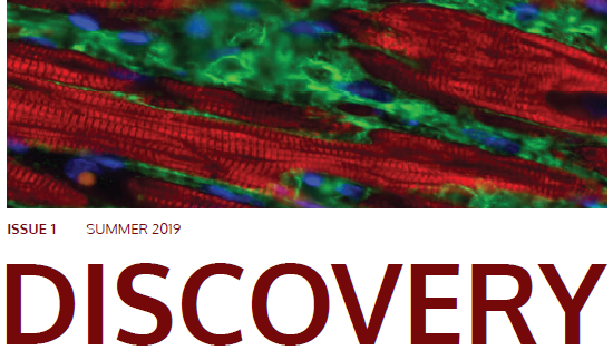 SNEAK PEEK: The first issue of WIMR’s Discovery magazine