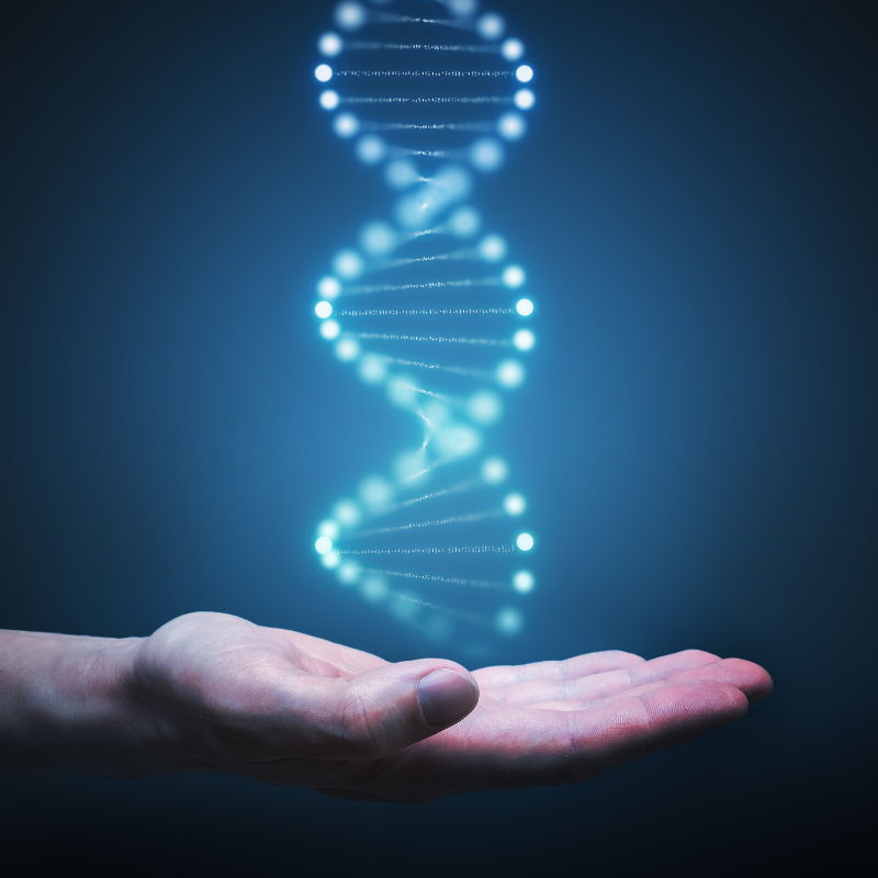 Grant funding to support vital MS research discoveries