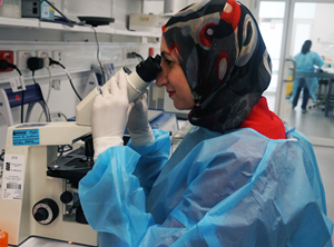 New genetic cause of liver fat uncovered
